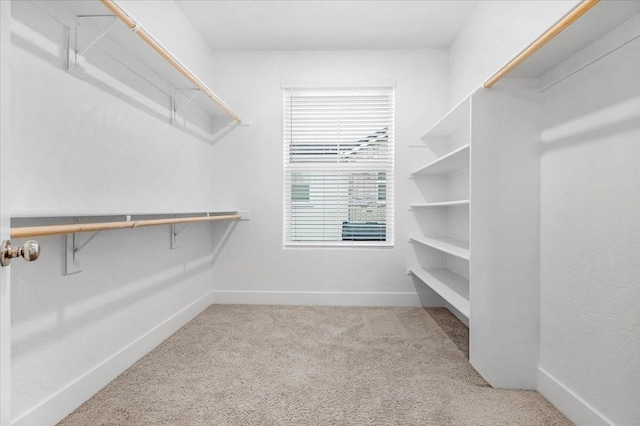 walk in closet with light carpet