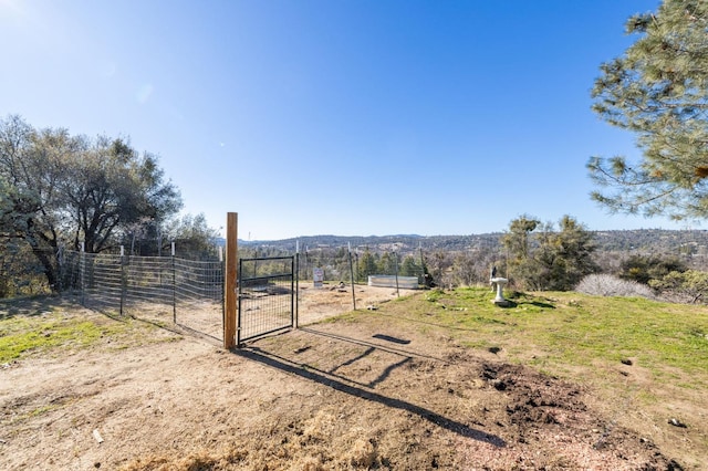 view of yard with a gate, fence, and a rural view