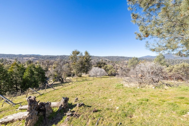 view of local wilderness with a mountain view