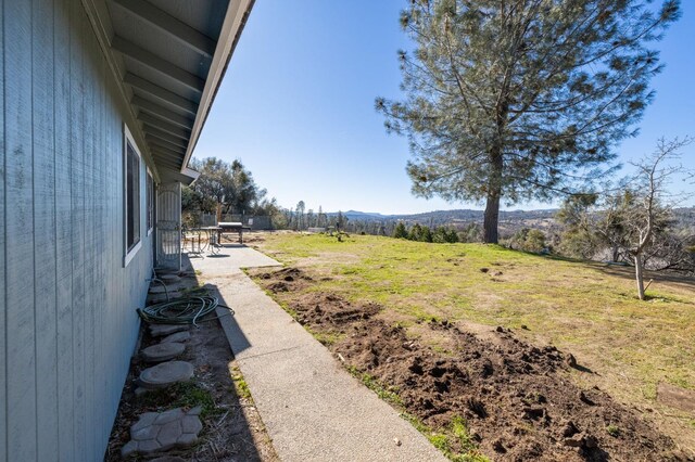 view of yard featuring a patio area