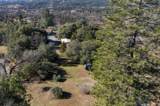 aerial view with a forest view