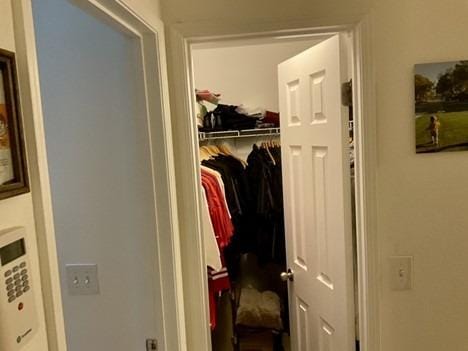 view of closet