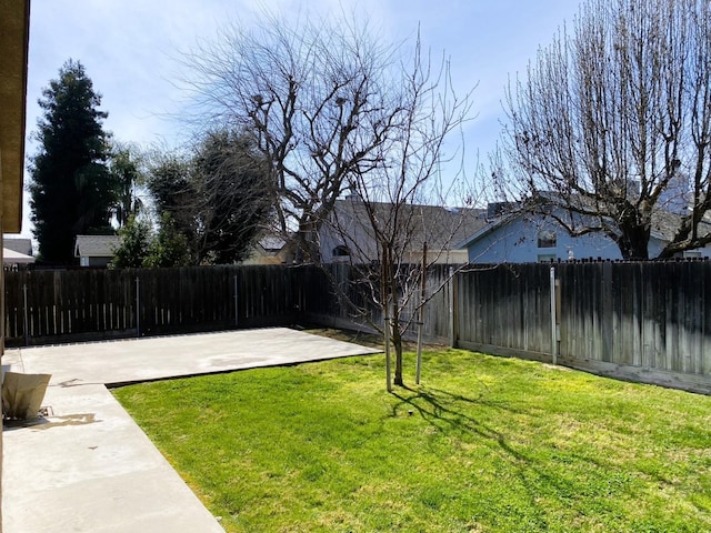 view of yard featuring a patio and a fenced backyard