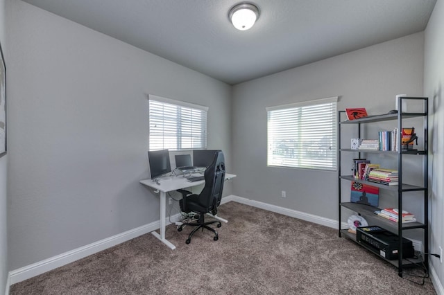 office featuring carpet floors