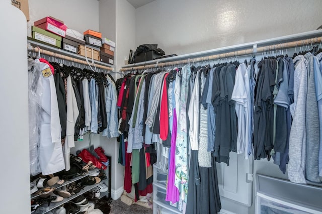 walk in closet featuring carpet flooring