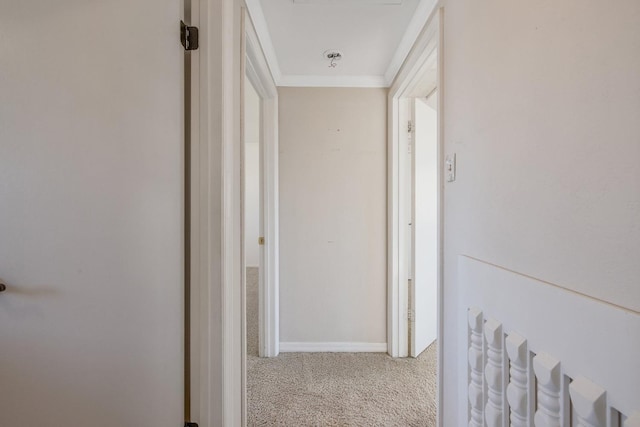 hall with ornamental molding and light carpet