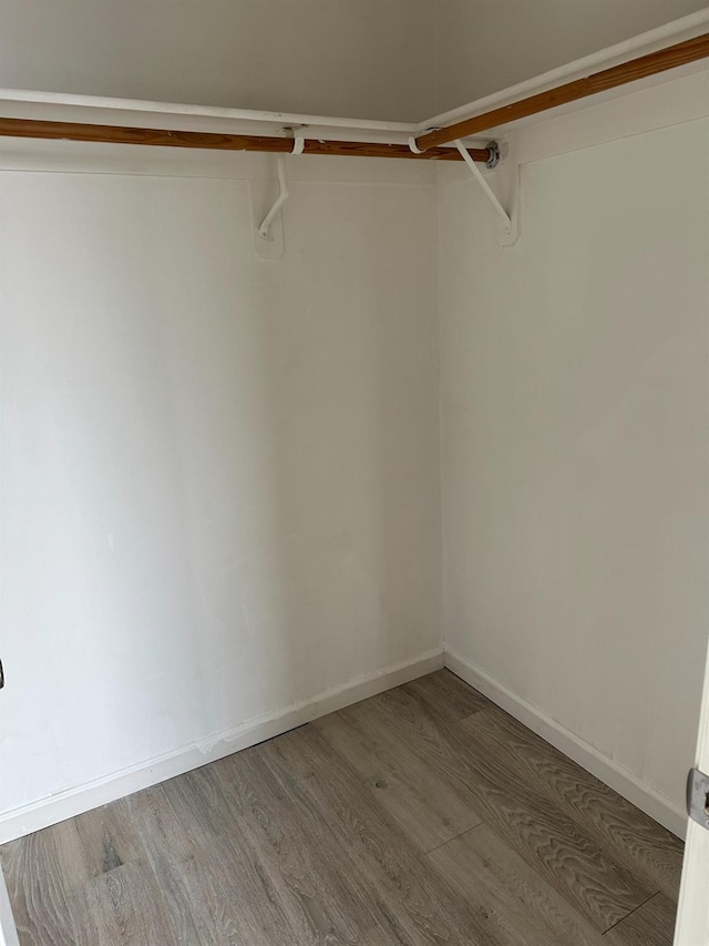 walk in closet featuring hardwood / wood-style floors