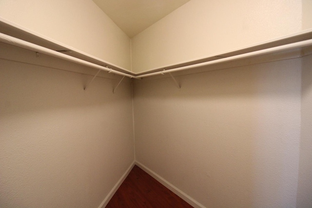 spacious closet featuring hardwood / wood-style flooring