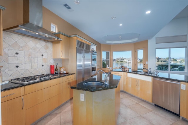 kitchen featuring appliances with stainless steel finishes, a kitchen island with sink, sink, and wall chimney exhaust hood