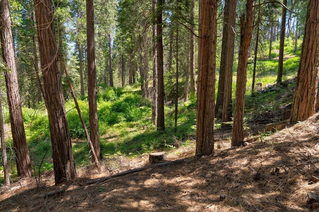 view of landscape