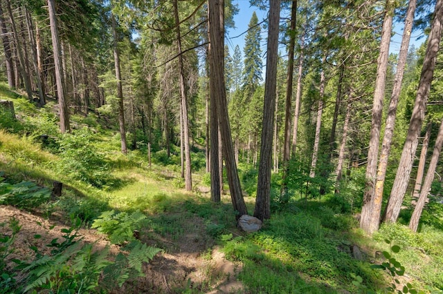 view of landscape