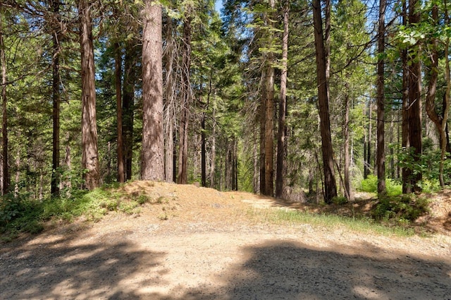 view of landscape