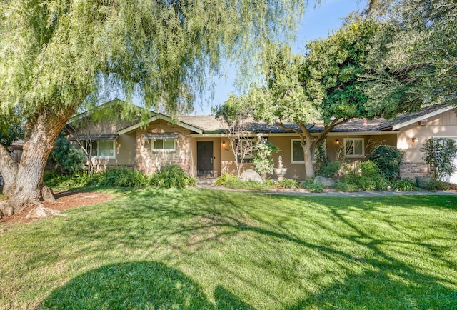 ranch-style house with a front yard