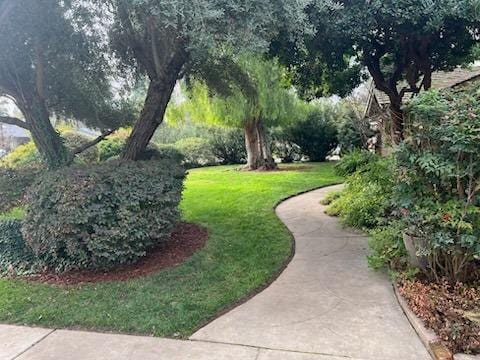 view of community featuring a yard