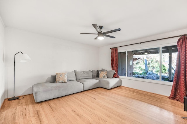 living room with ceiling fan and wood-type flooring