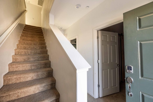 stairs with carpet flooring