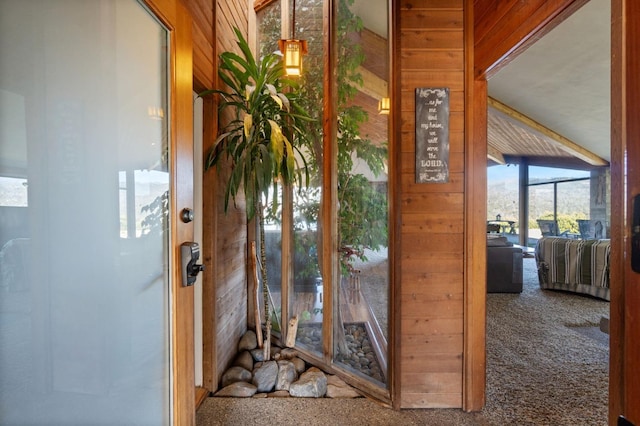 interior space featuring wooden walls and carpet floors