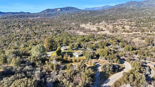 drone / aerial view with a mountain view