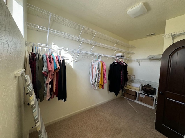 walk in closet featuring carpet