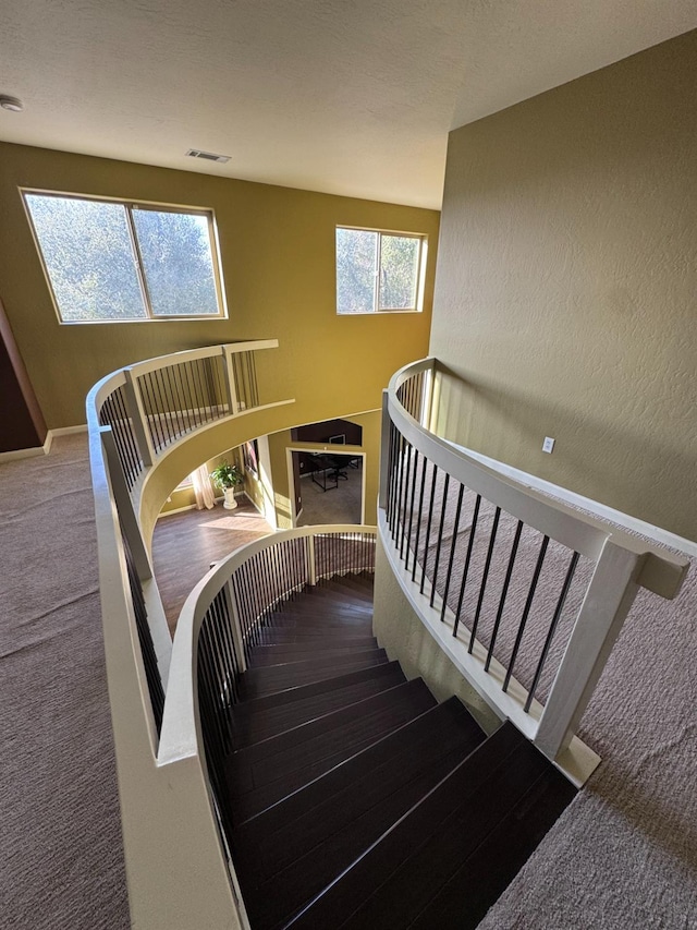 stairway with carpet floors and a wealth of natural light