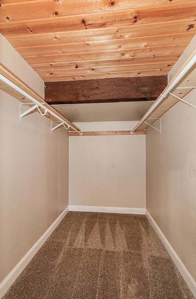 walk in closet with carpet flooring