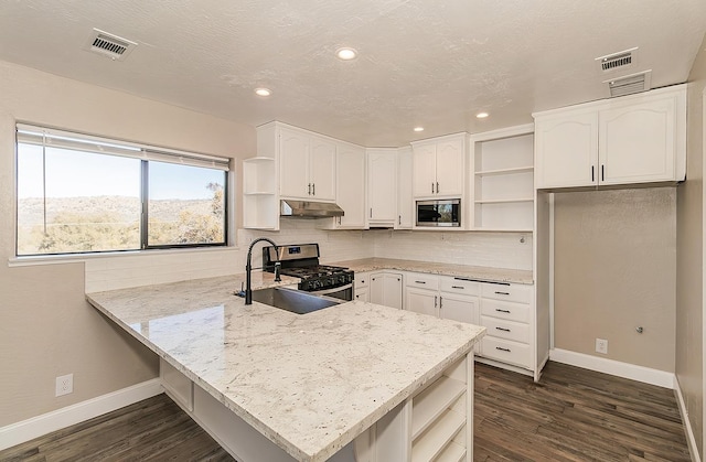 kitchen with under cabinet range hood, a peninsula, a sink, appliances with stainless steel finishes, and open shelves