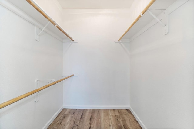 walk in closet featuring hardwood / wood-style floors