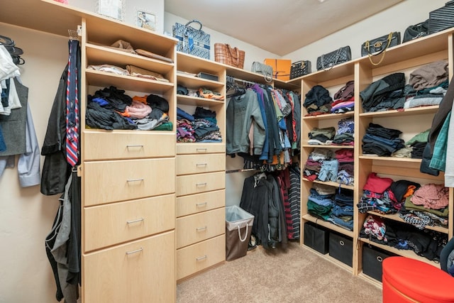 walk in closet with light carpet