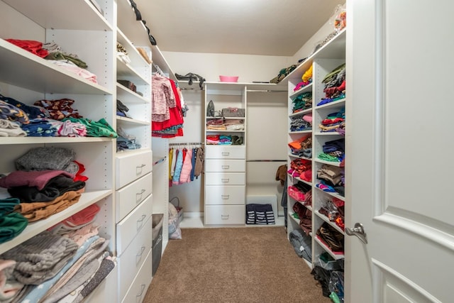 spacious closet with light colored carpet