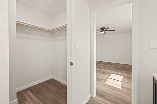 spacious closet featuring a ceiling fan and wood finished floors