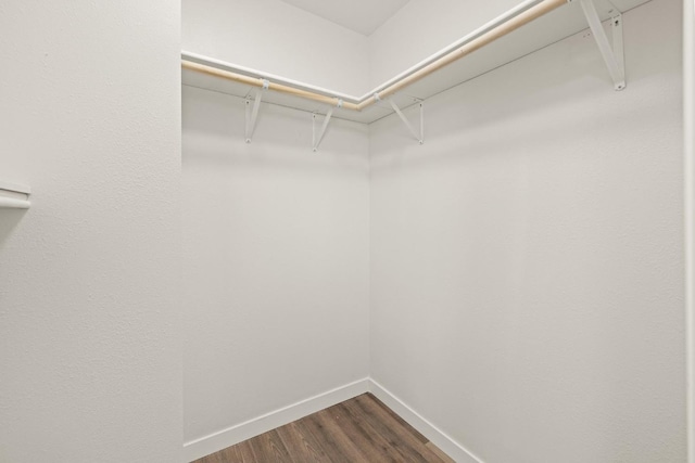 2255 S Rose Ave, Fresno, CA 93706 - walk in closet with dark wood-style flooring