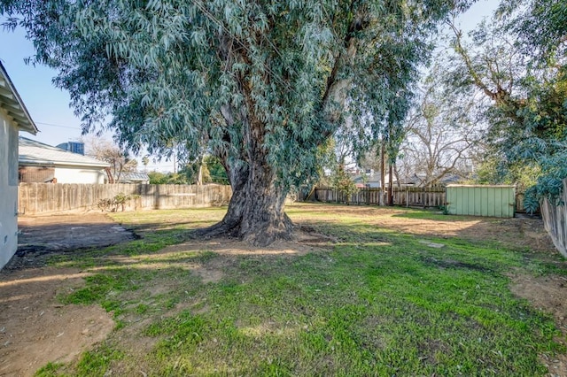 view of yard with a storage unit