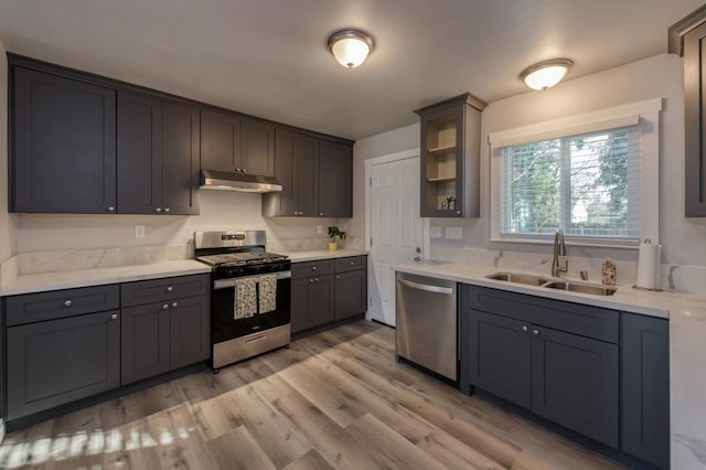 kitchen with light wood-type flooring, sink, and stainless steel appliances