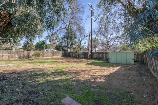 view of yard featuring a shed