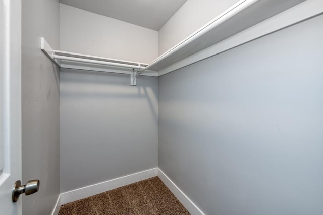 spacious closet featuring carpet