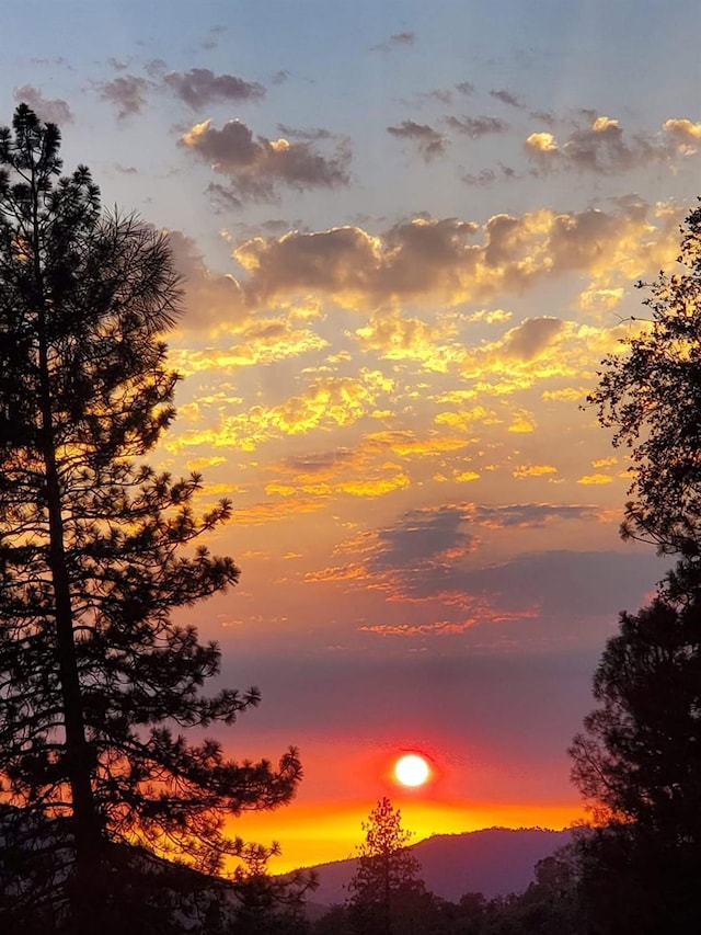 view of nature at dusk