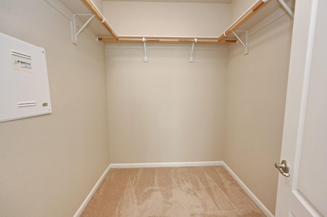 spacious closet featuring carpet