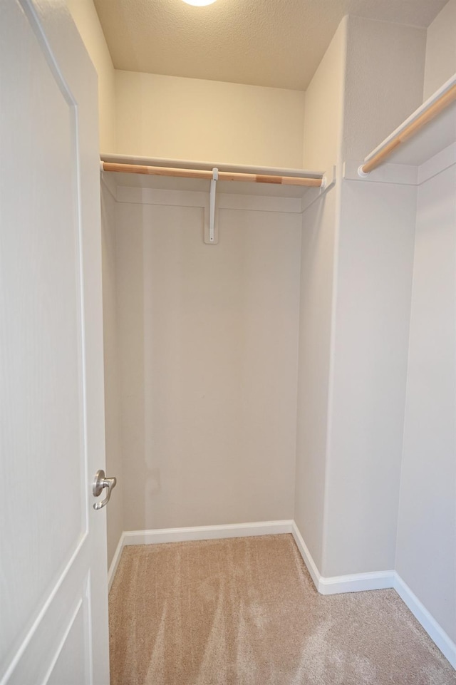 spacious closet with carpet floors