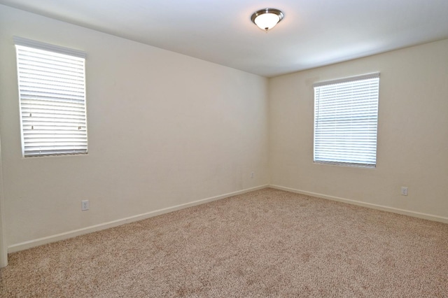 spare room with carpet floors