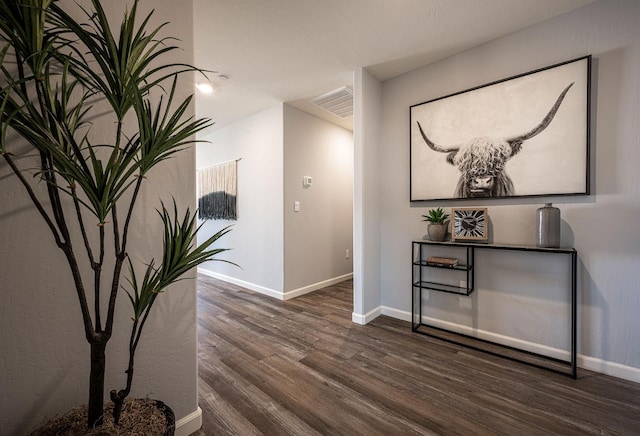 hallway with dark hardwood / wood-style flooring