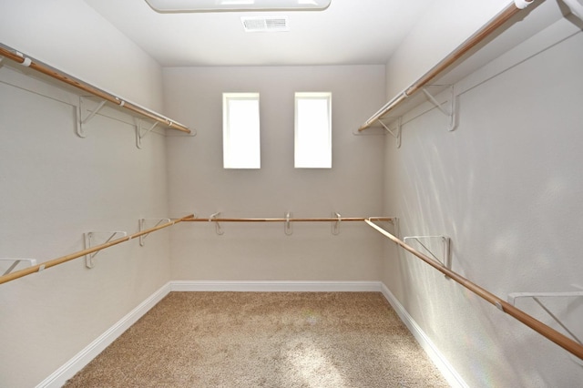 walk in closet featuring carpet flooring