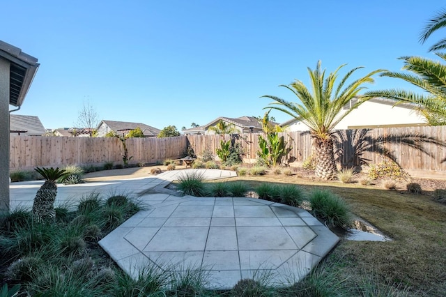 view of yard featuring a patio area