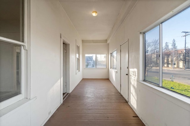 corridor featuring dark hardwood / wood-style flooring