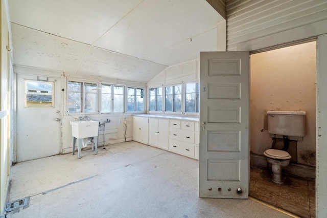 bathroom with toilet and vaulted ceiling