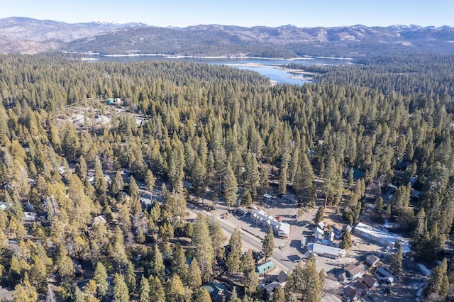 drone / aerial view with a water and mountain view