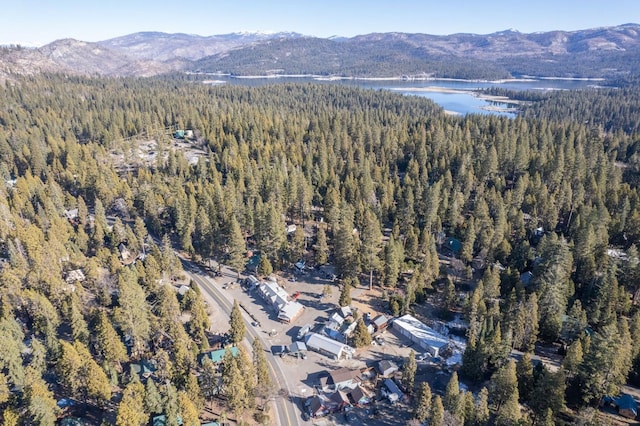 bird's eye view featuring a water and mountain view