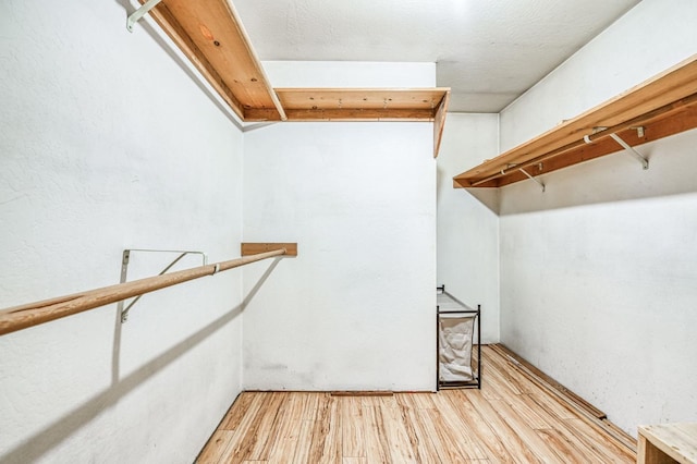 walk in closet featuring light wood-type flooring