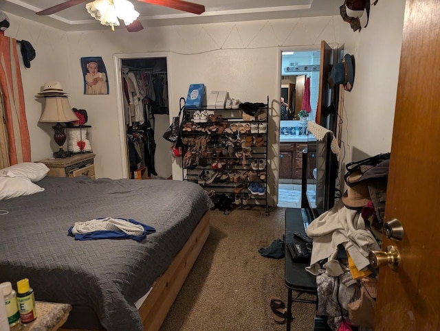 carpeted bedroom featuring ceiling fan, a closet, and a walk in closet