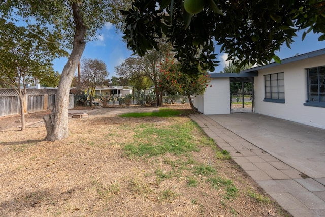 view of yard featuring a patio