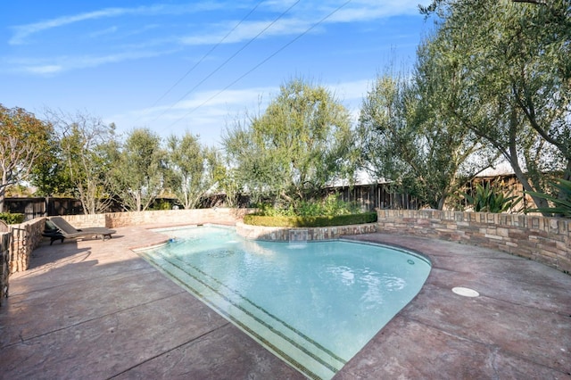 view of pool with a patio area